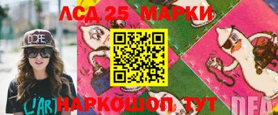 СК Можга