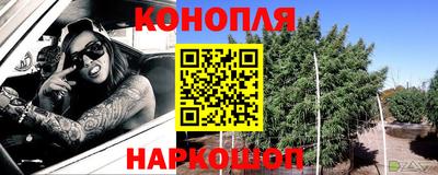 СК Можга