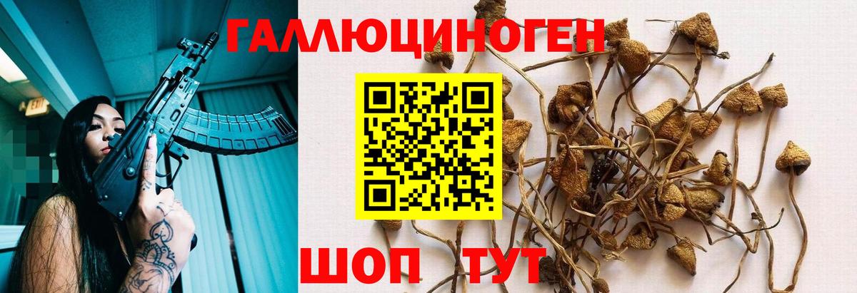 Галлюциногенные грибы мухоморы  Вход с VPN  Волгодонск 