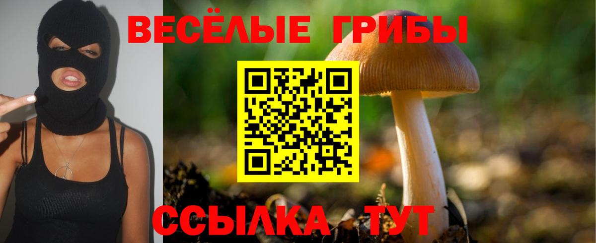 Галлюциногенные грибы Cubensis Волгодонск